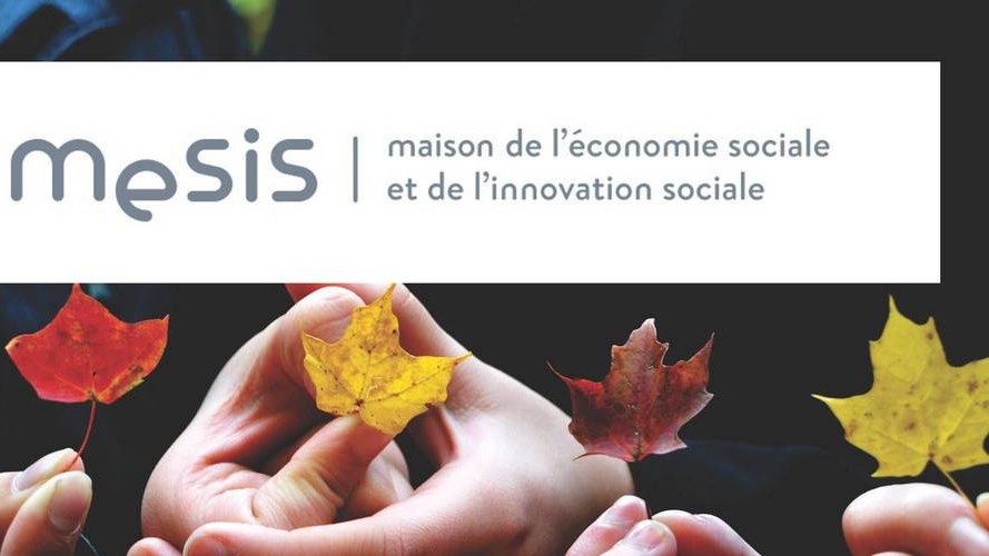 La MESIS, point focal pour l'impact social