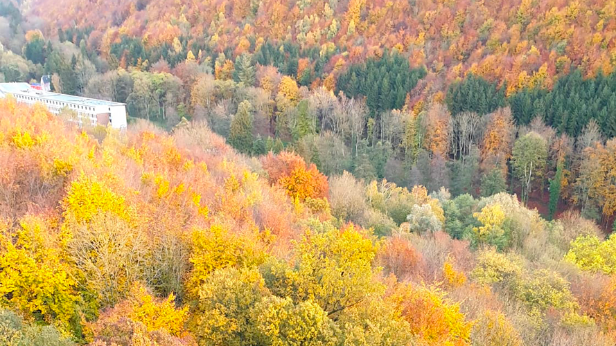 Mettez des couleurs dans vos intérieurs