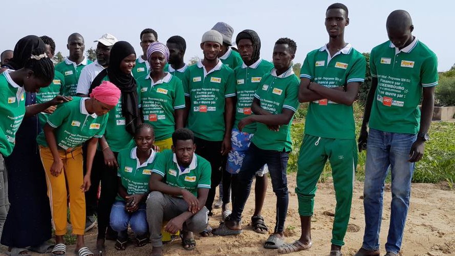 Des formations pour un autre modèle agricole au Sénégal