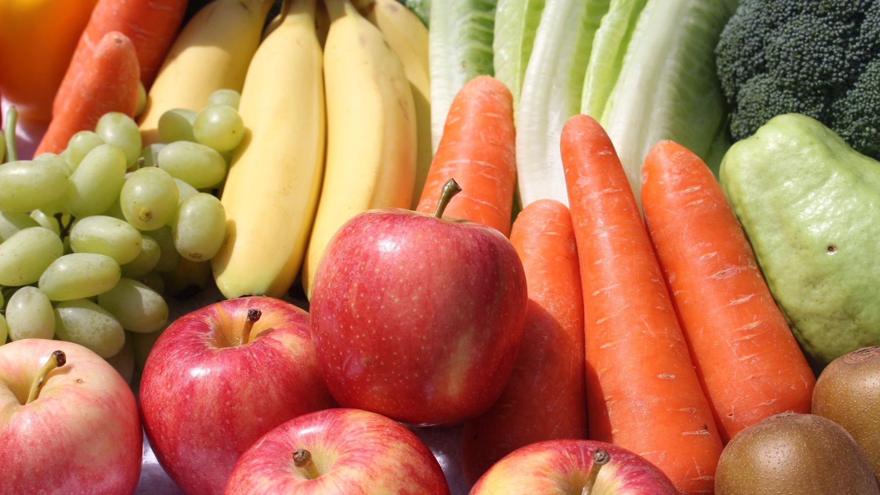 Qui fournira les 150 tonnes de fruits et légumes locaux aux écoliers ?