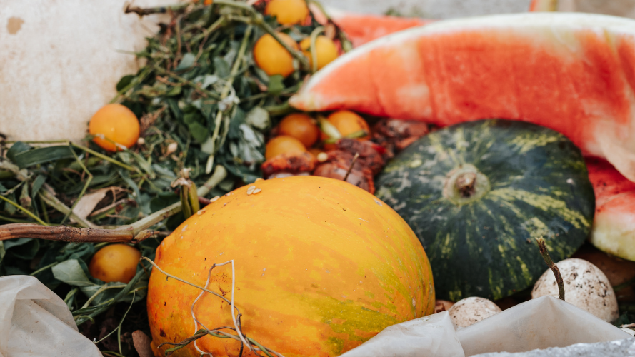 Gaspillage alimentaire : conséquence d'une logistique défaillante et complexe