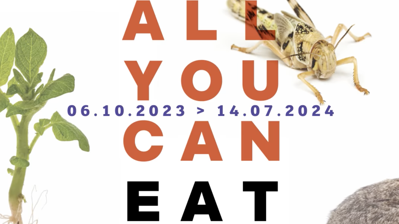 ALL YOU CAN EAT - l'Homme et son alimentation