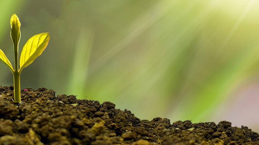 Towards a sustainable and trustworthy recommitment system