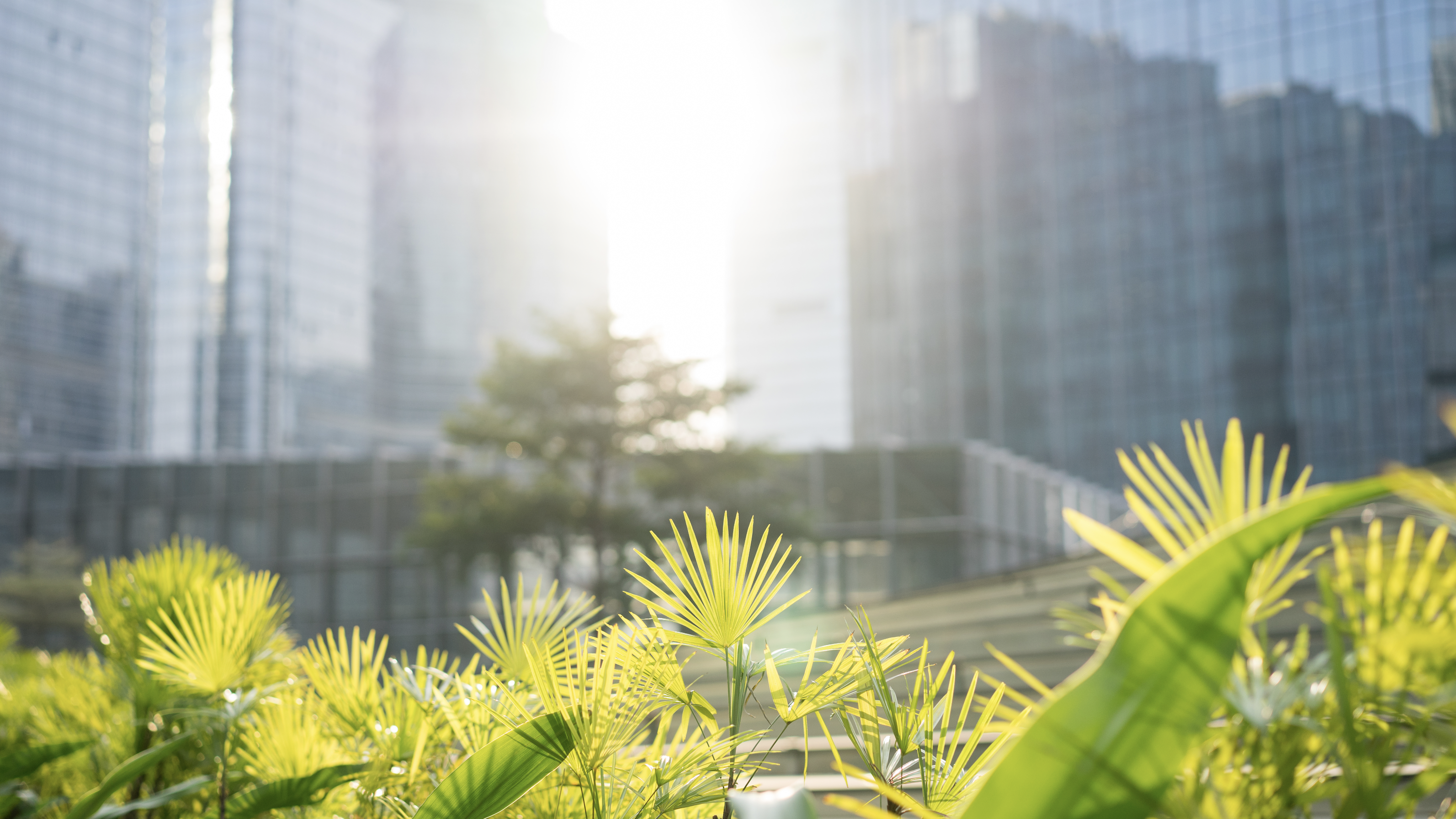 Décarbonation : vers un futur durable