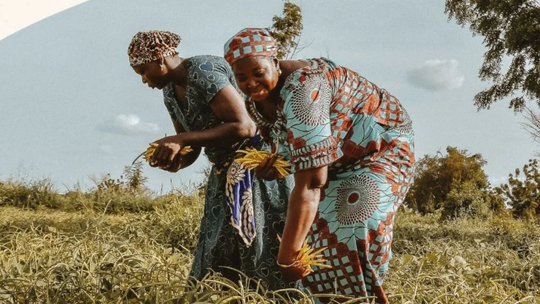 Déjeuners solidaires 2026, un repas pour une alimentation plus juste