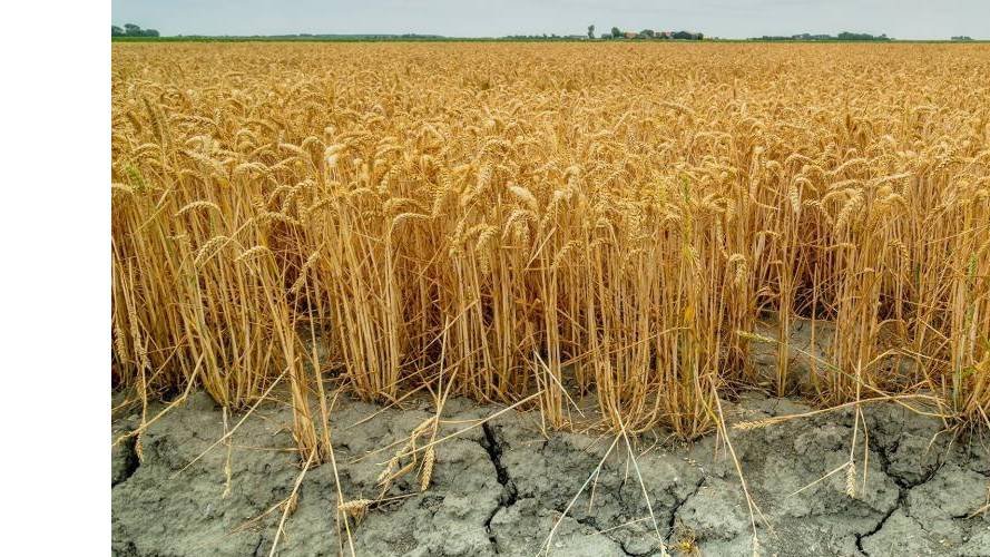 ADA : les risques climatiques pris en compte