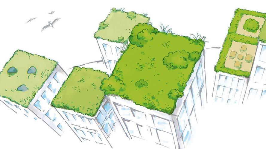 Optigrün international AG, nouveau partenaire d'Infogreen !
