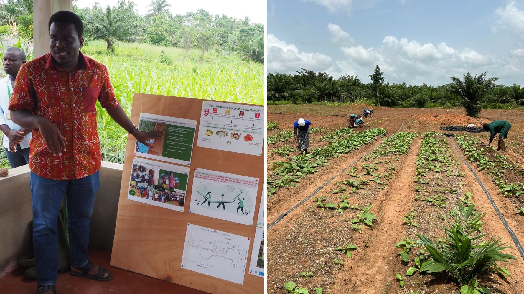 Une chaîne de solidarité pour l'emploi rural au Bénin