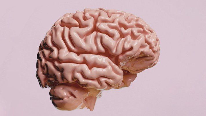 Soirée d'information prévention AVC