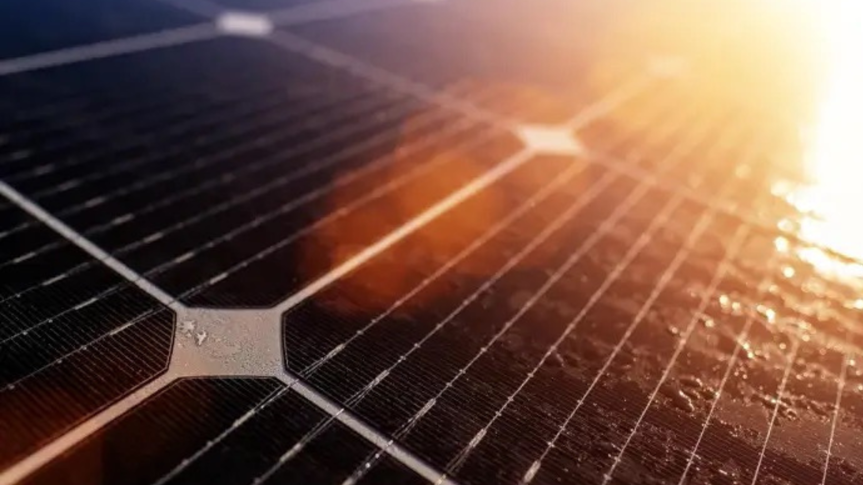 Fit 4 Sustainability : les aides renforcées