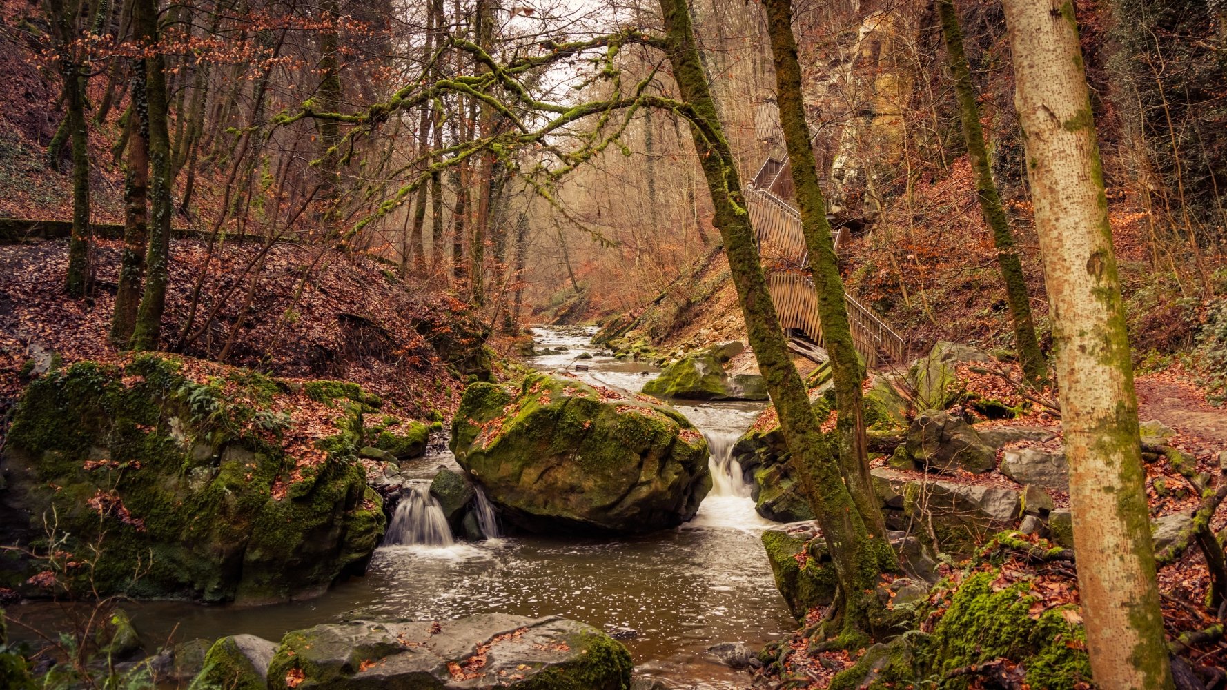 Un tourisme en vert et contre tout : le Luxembourg trace sa route durable