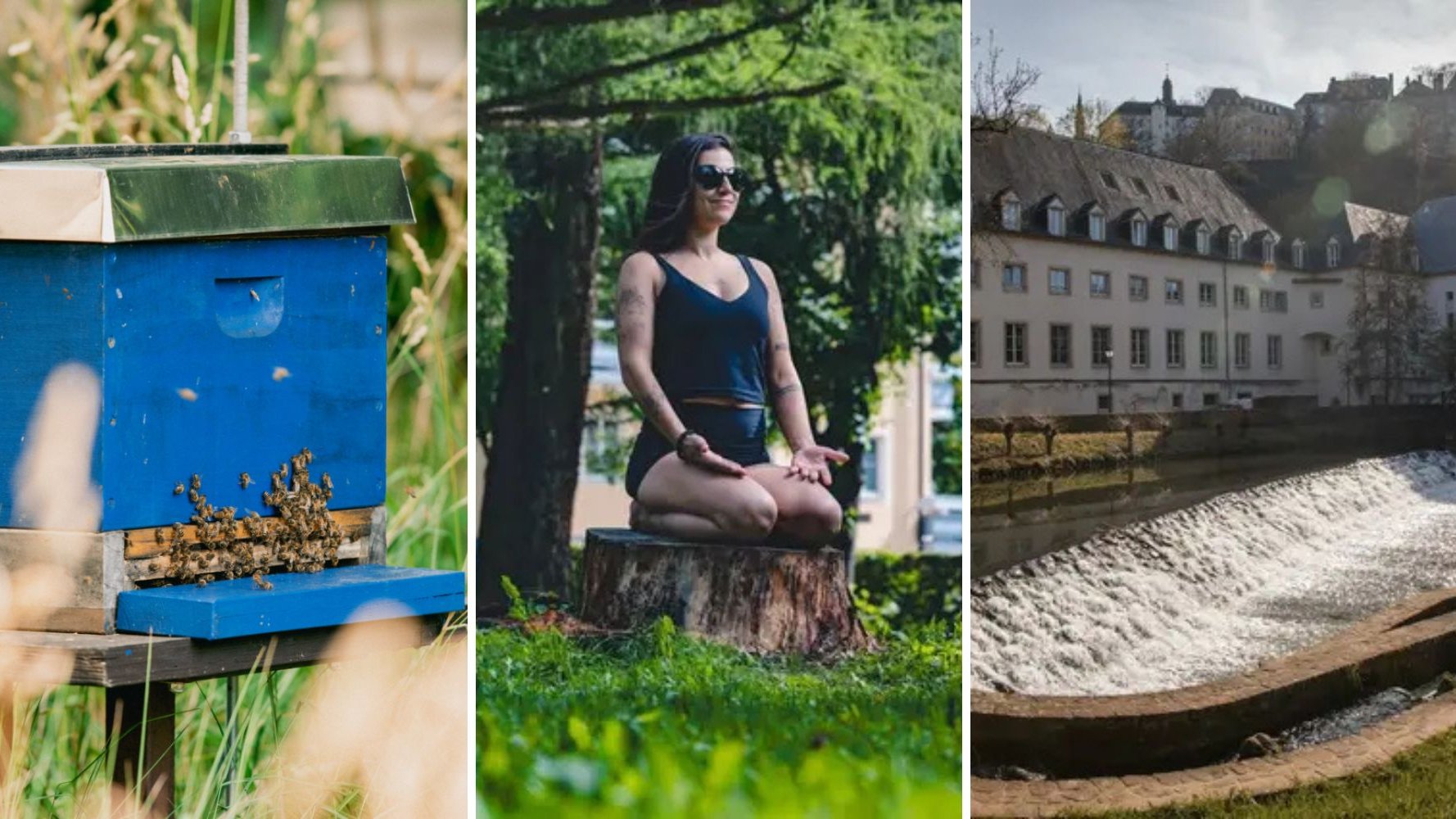 Les événements à ne pas manquer ce week-end - 25 et 26 juillet