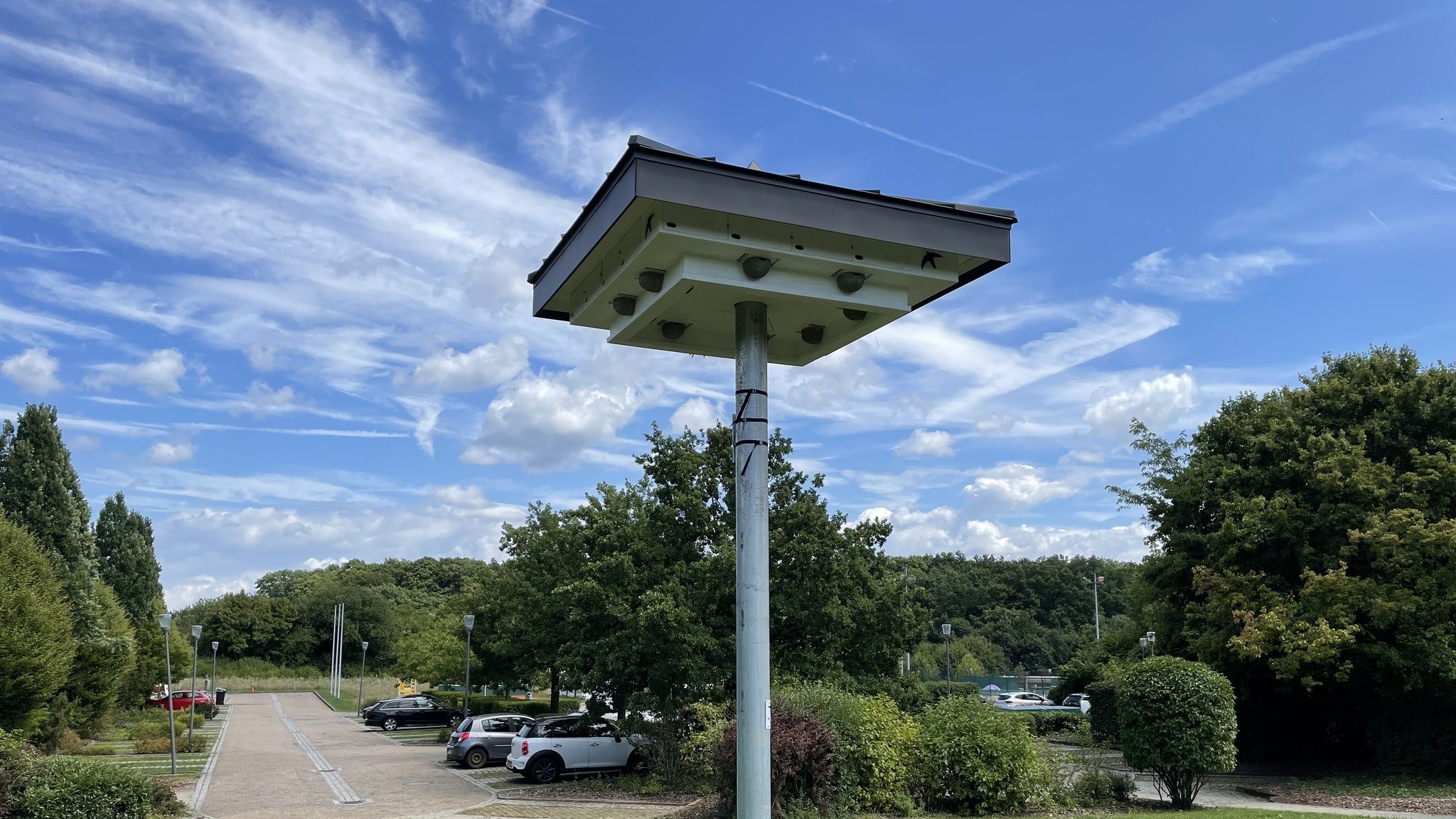 Un nouveau foyer pour les hirondelles à Mamer