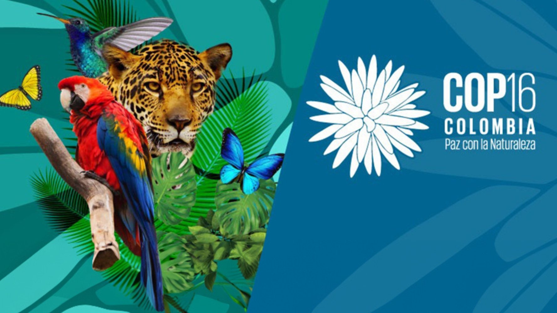 16e Conférence mondiale sur la biodiversité, c'est parti !