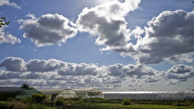 Agriculture écologique : prenez-en de la graine !