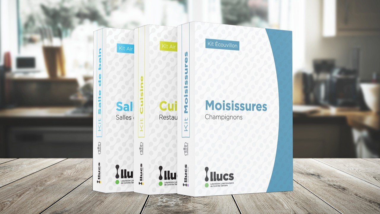 Qualité de l'air intérieur : un enjeu de santé méconnu que vous pouvez maîtriser