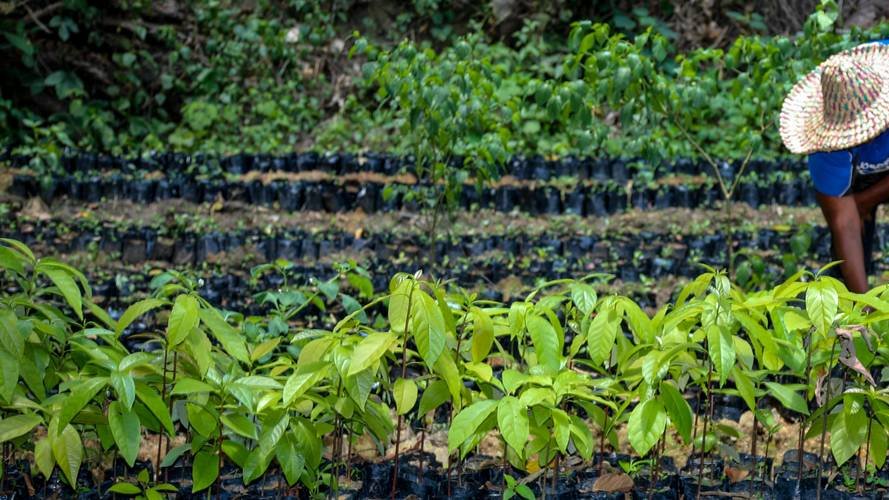 Les solutions fondées sur la nature : jouons un rôle pour leur financement