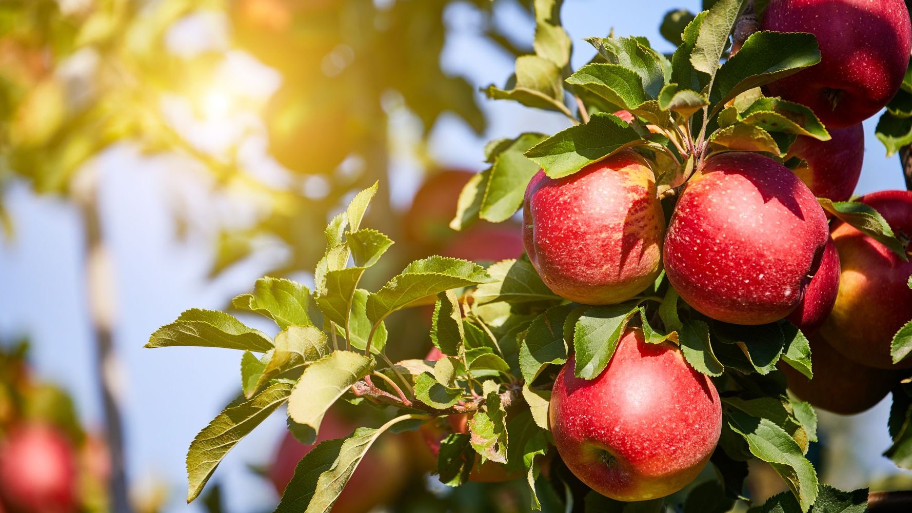 20 ans de protection de la nature et des paysages