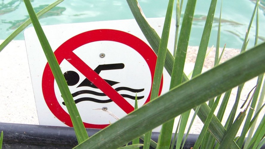 Présence d'algues bleues dans le lac de la Haute-Sûre : interdiction de baignade sur la plage « Rommwiss »