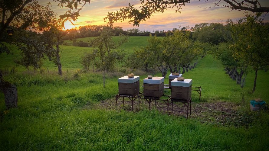 Une belle solidarité au sein des apiculteurs