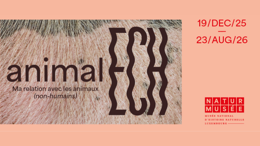 Nouvelle exposition temporaire : animalECH