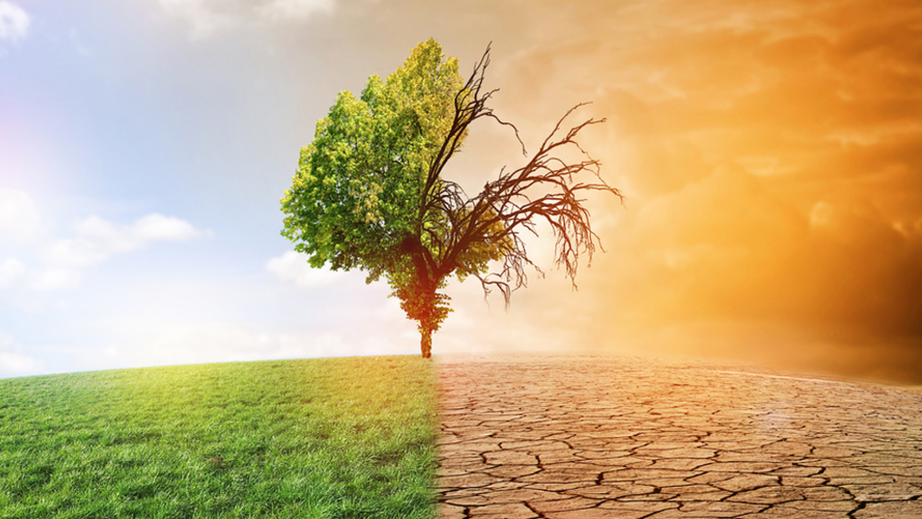 Position du gouvernement concernant le droit à un environnement sain