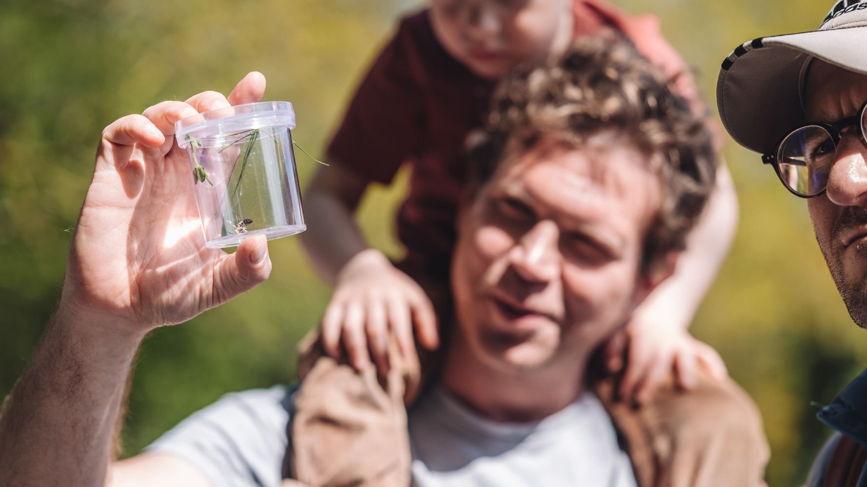 Ramborn Cider Co. et le LIST organisent la 3e édition du City Nature Challenge Luxembourg : un événement consacré à la biodiversité