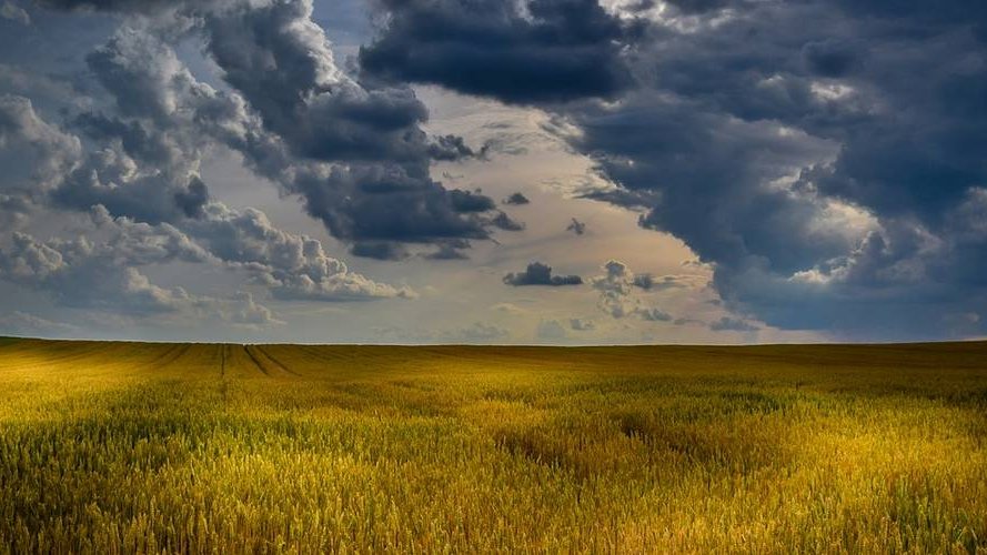 Keine weiteren 5 Jahre verstreichen lassen ! Nachhaltige Landwirtschaft, jetzt !