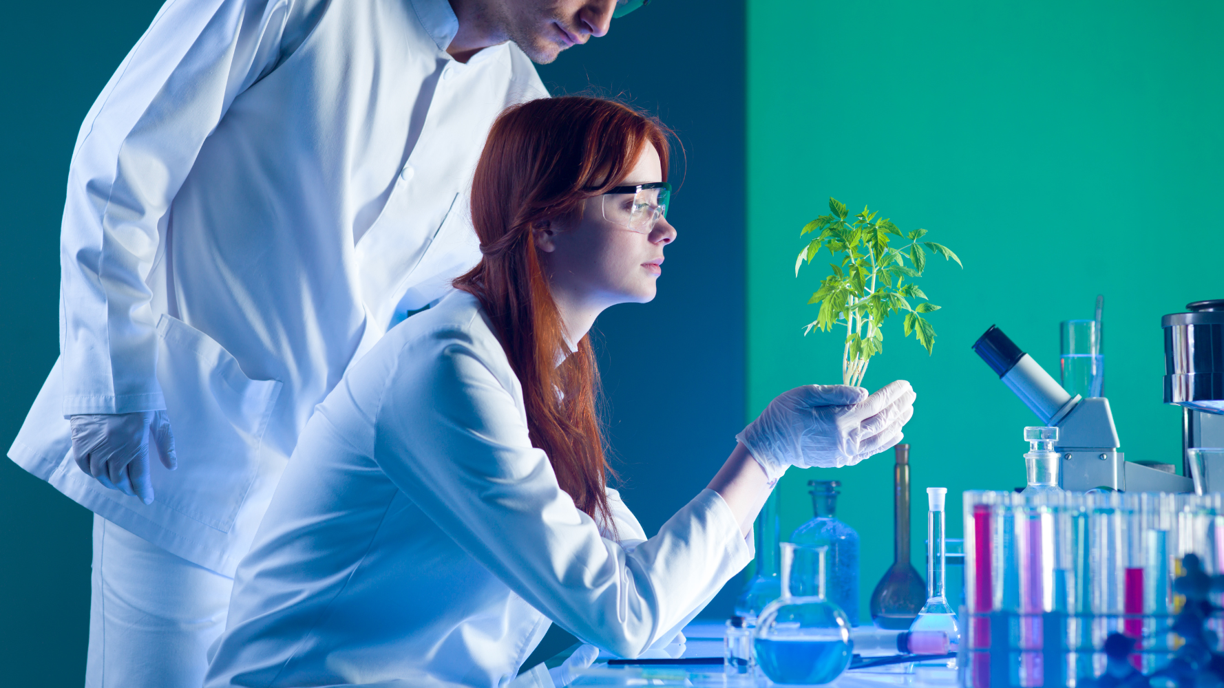 Grand Dossier Layman : les recherches environnementales du LIST compilées