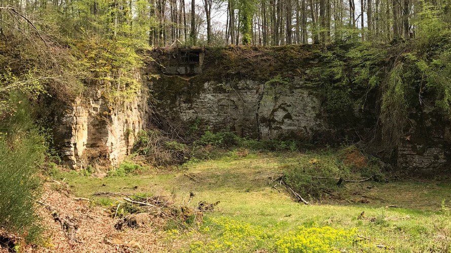 Séance de cinéma open-air dans la carrière du Härebësch avec au programme « Le chant de la fleur »