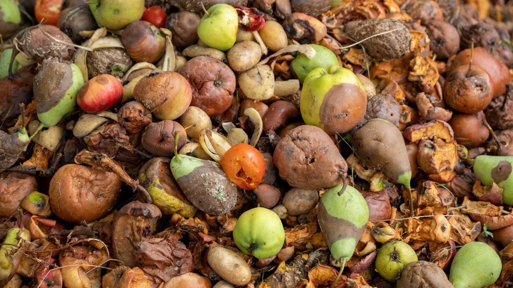 La campagne « Antigaspi » contre le gaspillage alimentaire est lancée !
