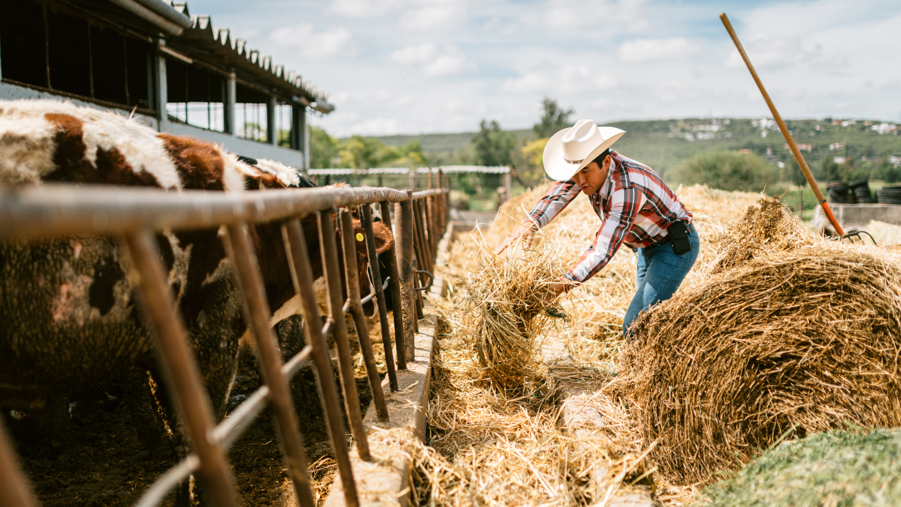 Accord UE–Mercosur : le Parlement saisit la Cour de justice