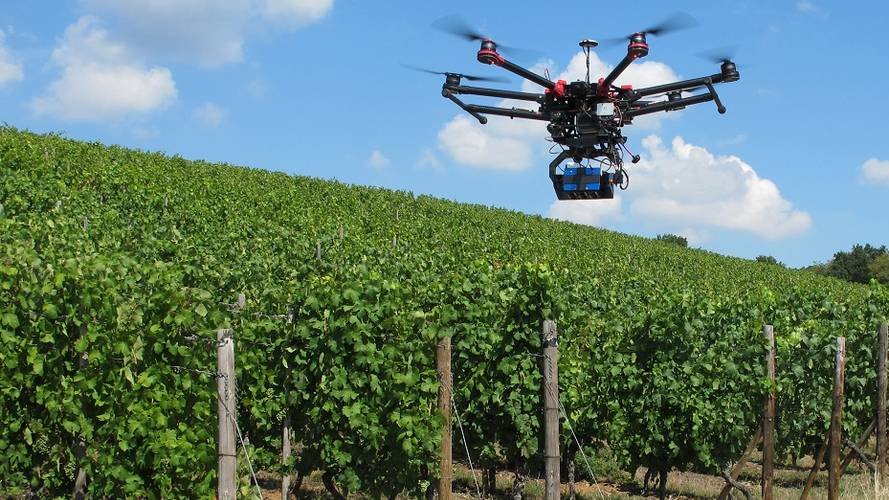 Moins de pesticides grâce à une agriculture de précision