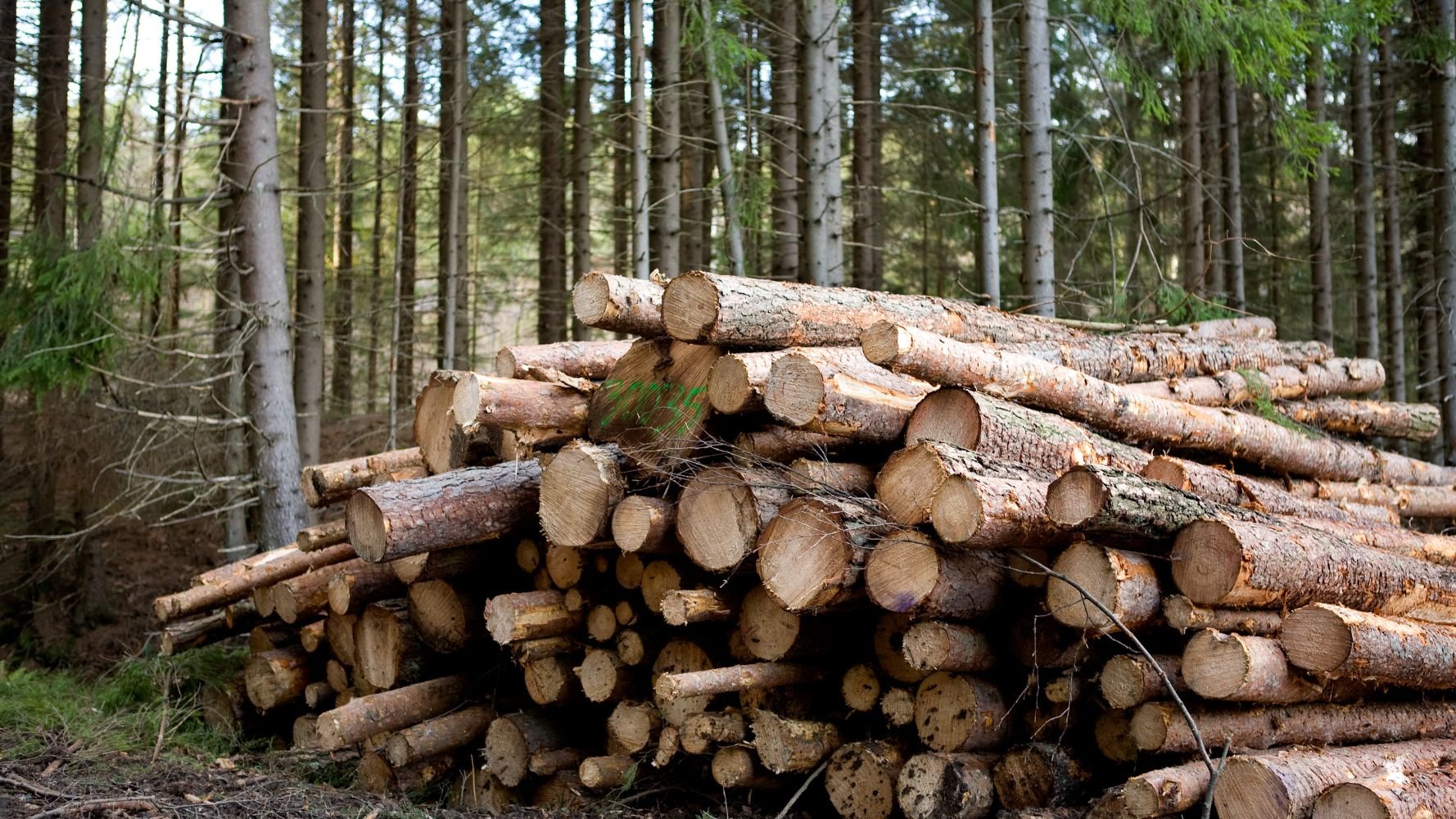 Le Luxembourg adopte son plan d'adaptation au changement climatique