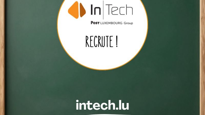Business Analyst IT Senior (M/F)