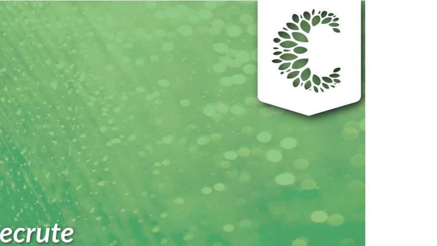 CELL asbl recrute !