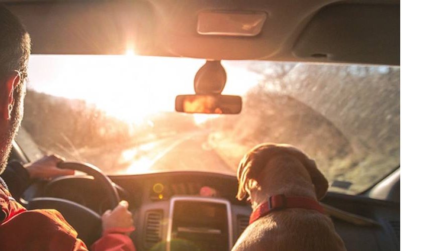 Le film teinté pour voiture face aux fortes chaleurs