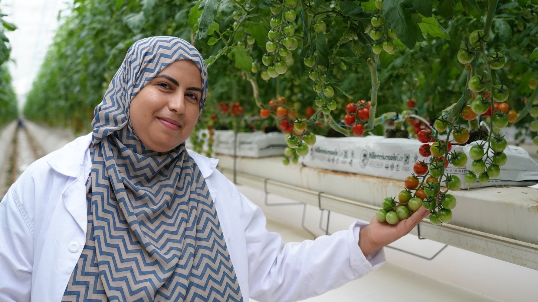 Un pont entre producteurs et consommateurs