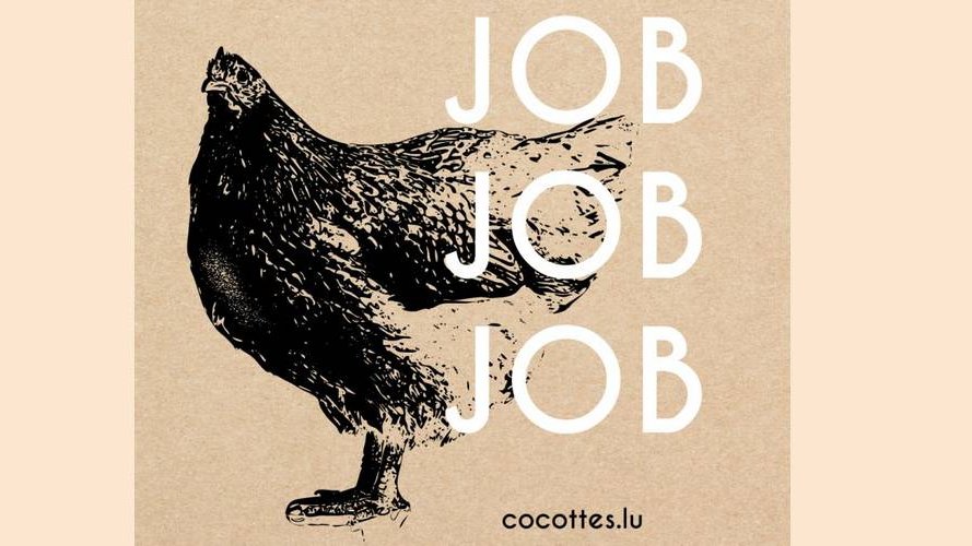 Cocottes recrute !