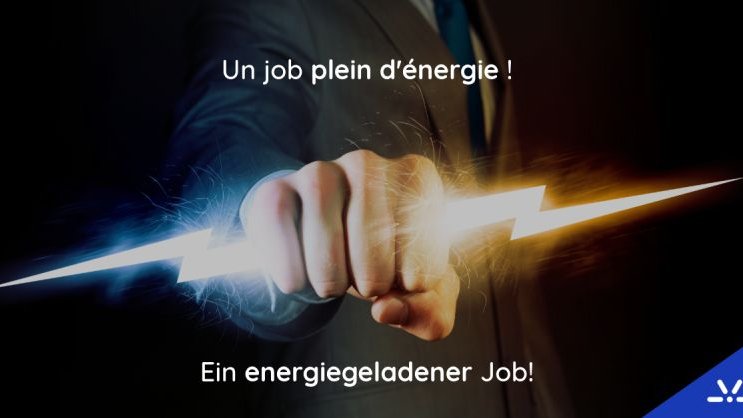 Technical Project Manager (m/f) / Electris