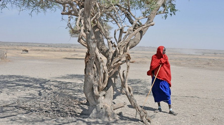 La dégradation des sols, un problème planétaire qui affecte deux milliards d'êtres humains