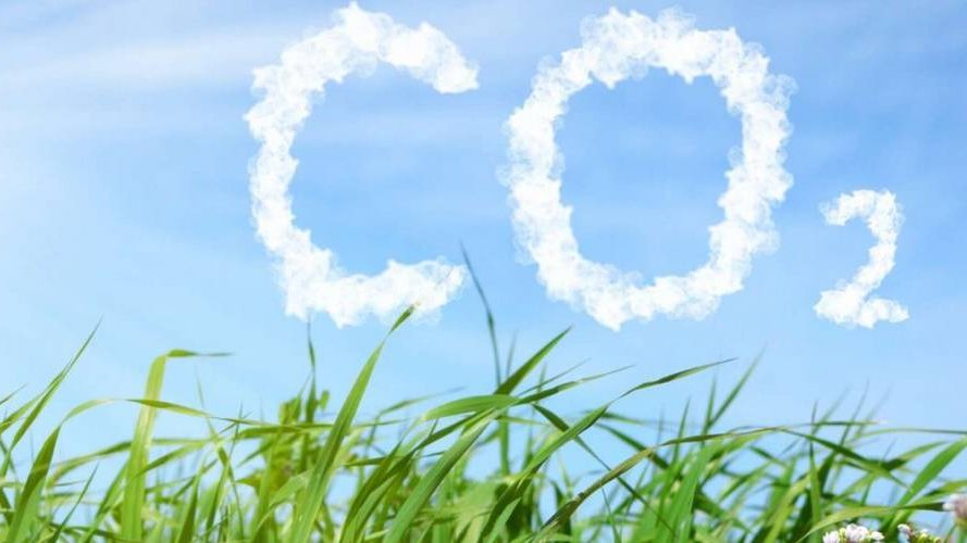 Qarbon Sàrl, nouveau partenaire d'Infogreen !