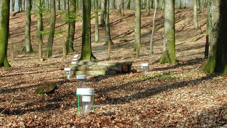 # 8/10 En bref : LIST RA17 - Construisez l'un des meilleurs observatoires hydroclimatologiques au monde