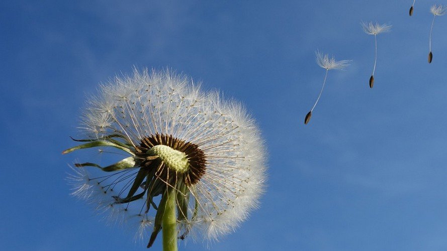 La Fondation Follereau Luxembourg recrute !