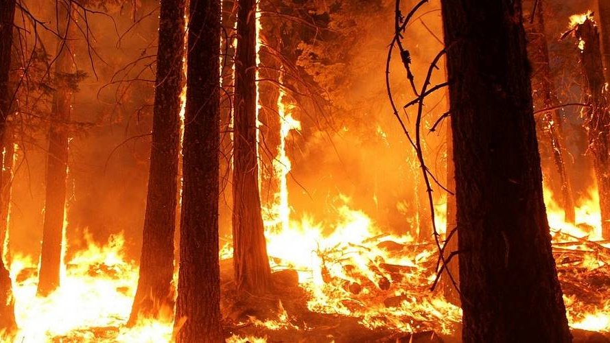 Copernicus surveille les effets des feux de forêts sur le Cercle polaire arctique