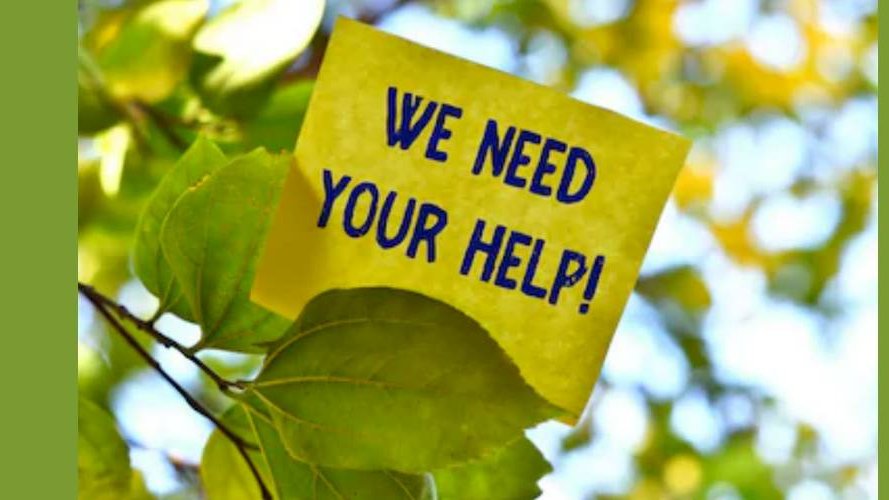 natur&ëmwelt a.s.b.l. recrute !