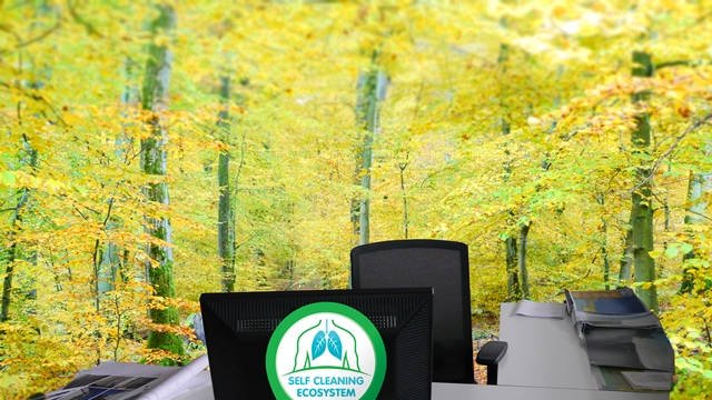 Et si la forêt de demain était invisible ?