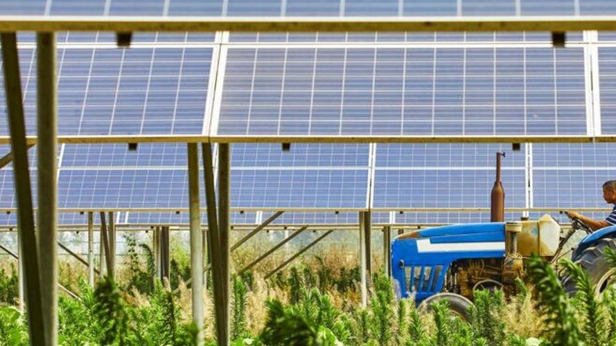Quand l'agriculture et le solaire tentent de faire bon ménage…