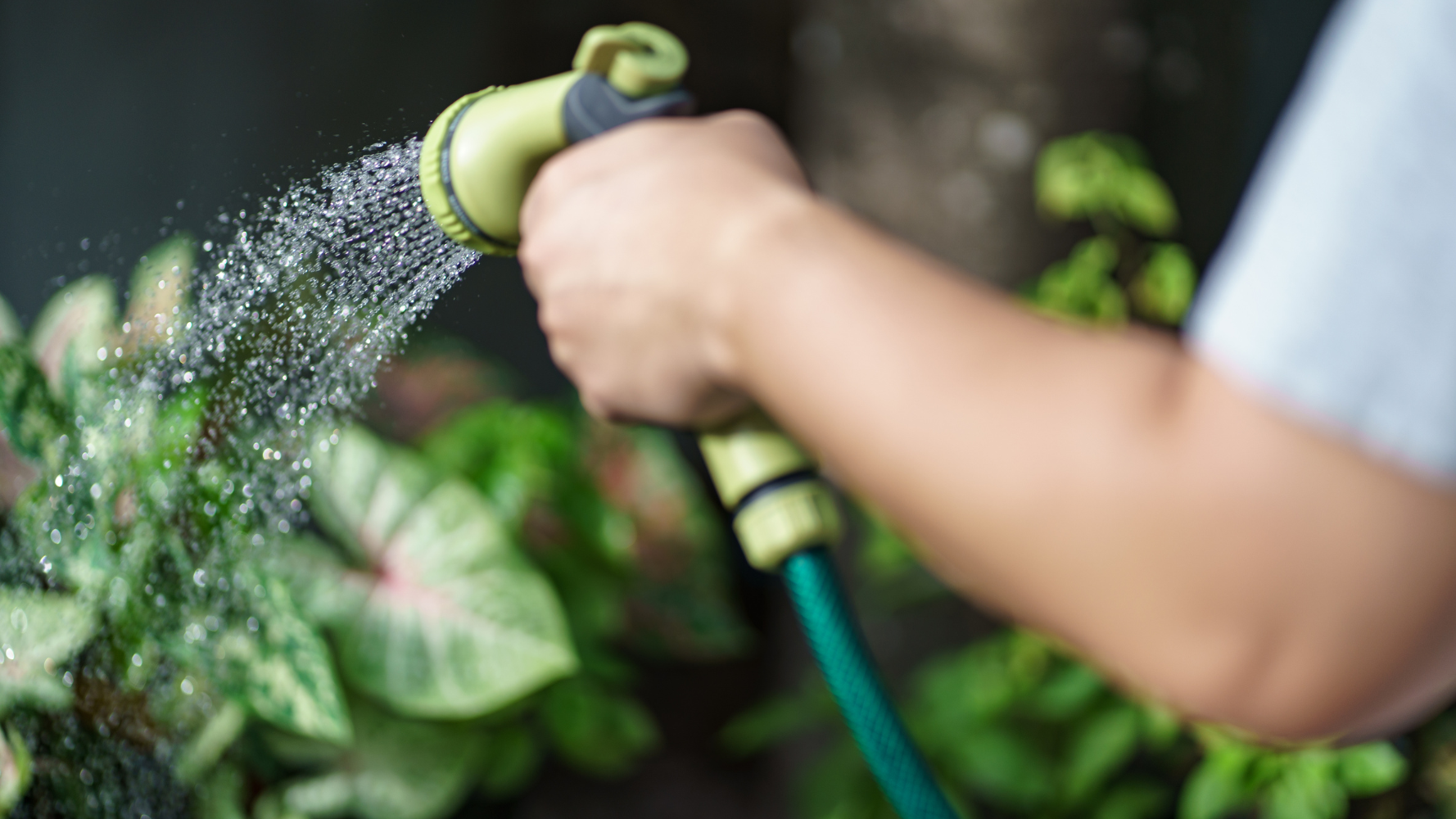 Gestion intelligente de l'eau d'arrosage des espaces verts
