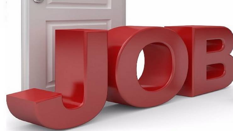 Les partenaires d'Infogreen recrutent !